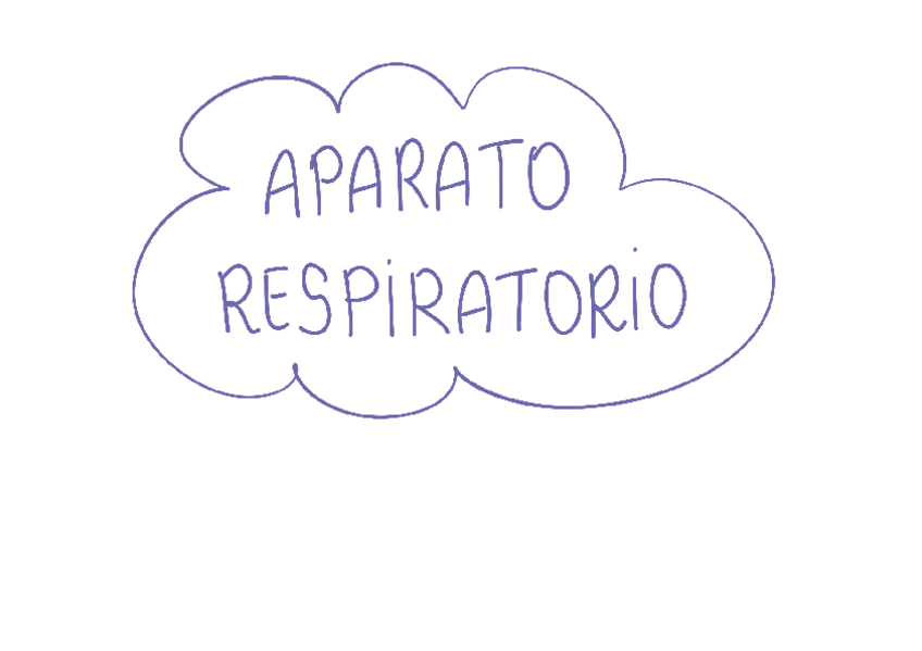 Miniatura del documento RESUMEN-APARATO-RESPIRATORIO.pdf
