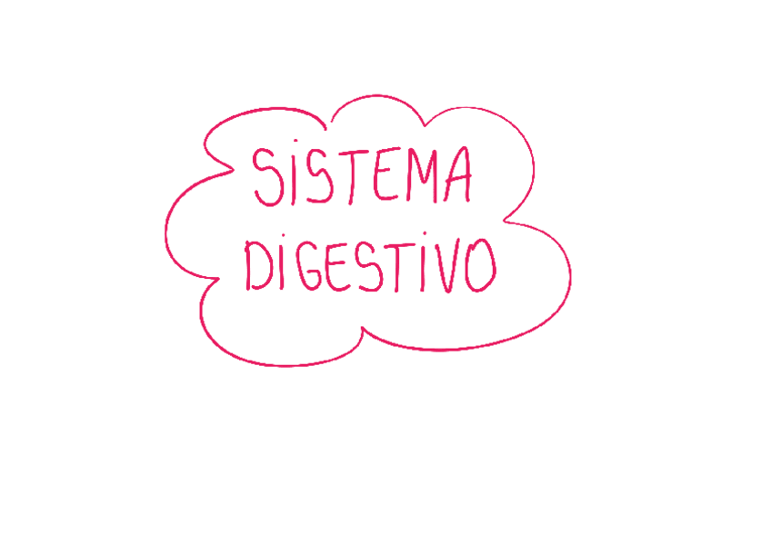 Miniatura del documento RESUMEN-SISTEMA-DIGESTIVO.pdf