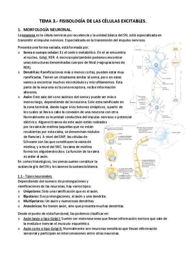 Miniatura del documento APUNTES-T.-3.-Amplio.pdf