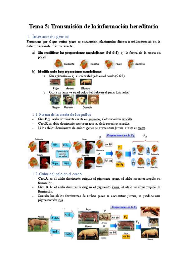 Miniatura del documento Tema-5.pdf