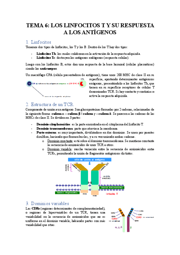 Miniatura del documento TEMA-6-LOS-LINFOCITOS-T-Y-SU-RESPUESTA-A-LOS-ANTIGENOS.pdf