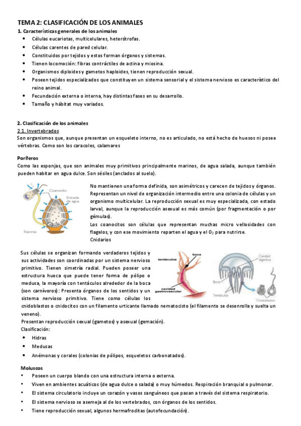 Miniatura del documento tema 2 clasificacion de los animales.pdf