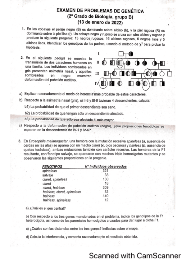 Miniatura del documento Examen-problemas-Genetica-21-22.pdf