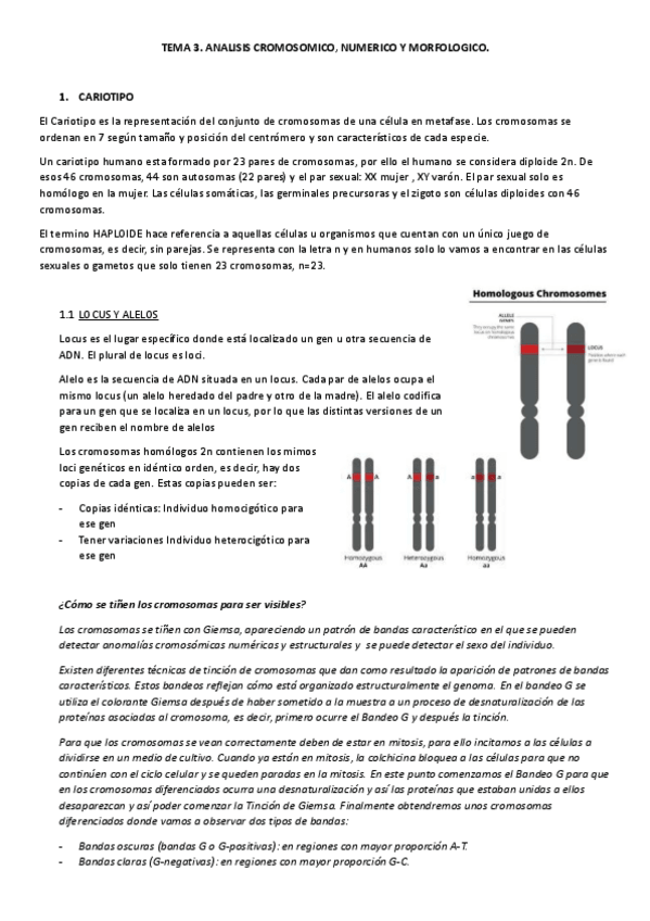 Miniatura del documento TEMA-3-PROCESOS-III.pdf