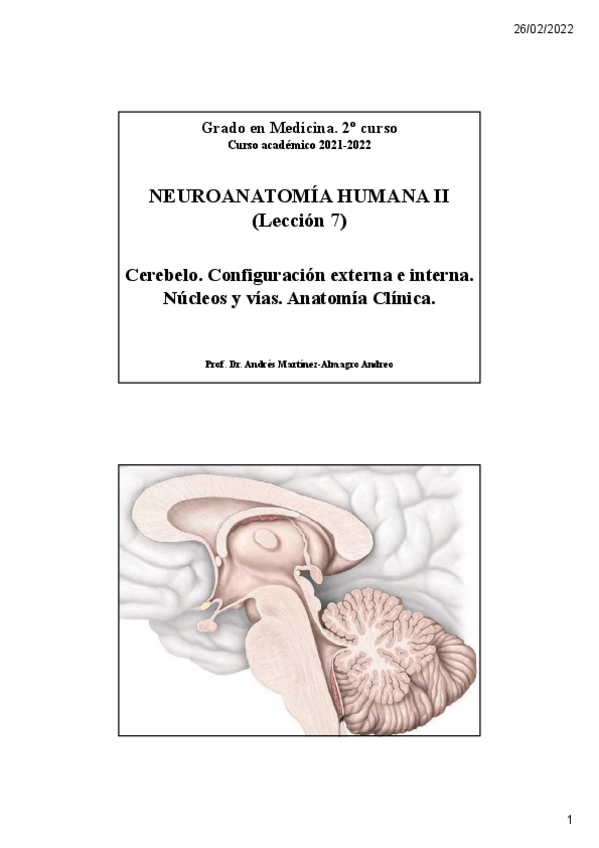 Miniatura del documento Leccion-7.-Cerebelo-2.pdf