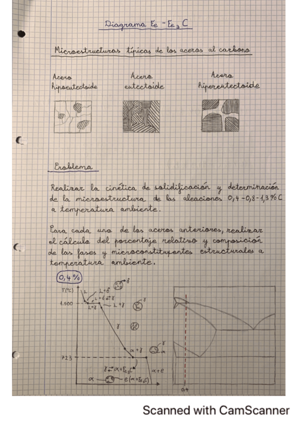 Miniatura del documento Problema-de-microestructura.pdf