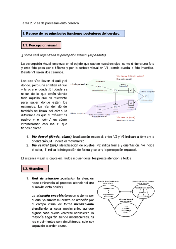 Miniatura del documento Tema-2.-Funciones-cognitivas-superiores..pdf