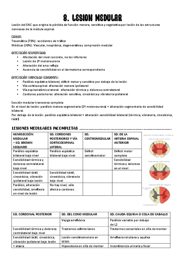 Miniatura del documento 8.-LESION-MEDULAR.pdf
