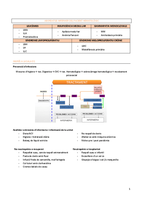 Miniatura del documento Abordatge-infermer-al-pacient-hematologic.pdf