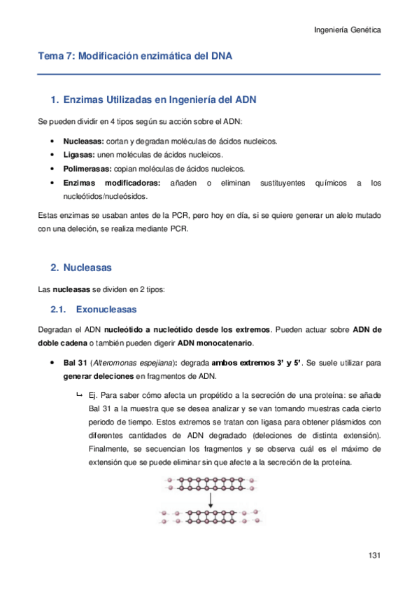 Miniatura del documento Tema-7.pdf