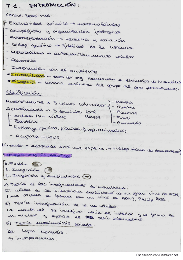 Miniatura del documento primer-cuatri-zoo.pdf