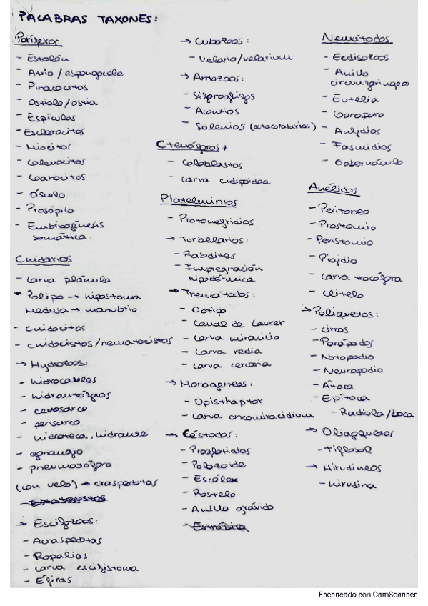 Miniatura del documento palabras-taxones-1y2-cuatri.pdf