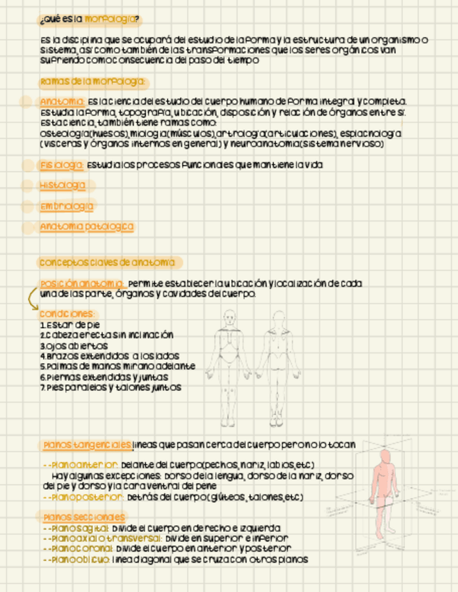 Miniatura del documento Fundamentozzz.pdf