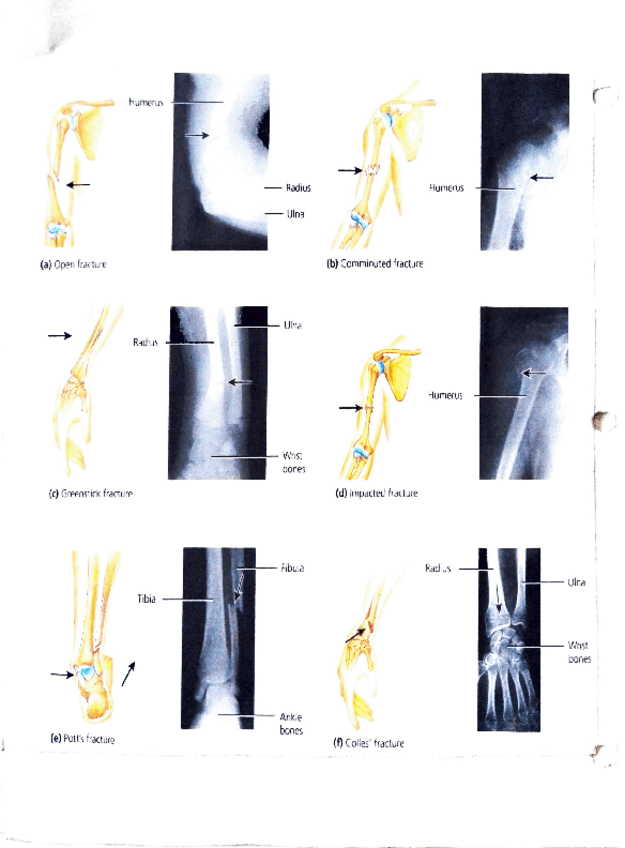 Miniatura del documento Adobe-Scan-25-sep-2023-1.pdf
