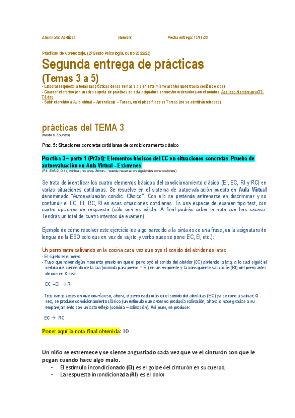 Miniatura del documento PRACTICA-2.pdf