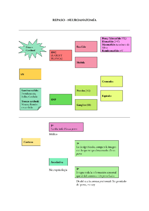 Miniatura del documento TEMA-1-CARMEN-ROSA-SAEZ.pdf