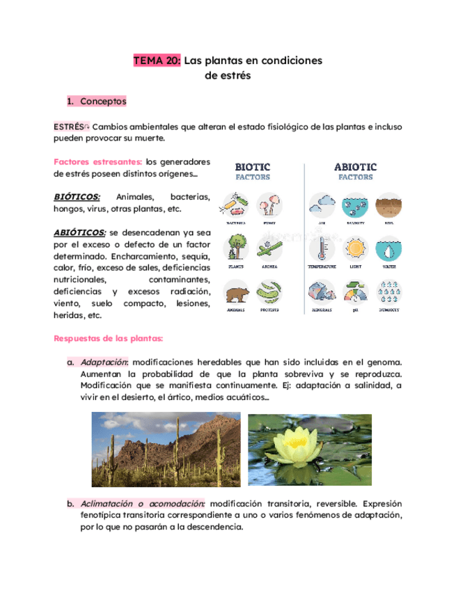 Miniatura del documento TEMA-20-Las-plantas-condiciones-estres.pdf