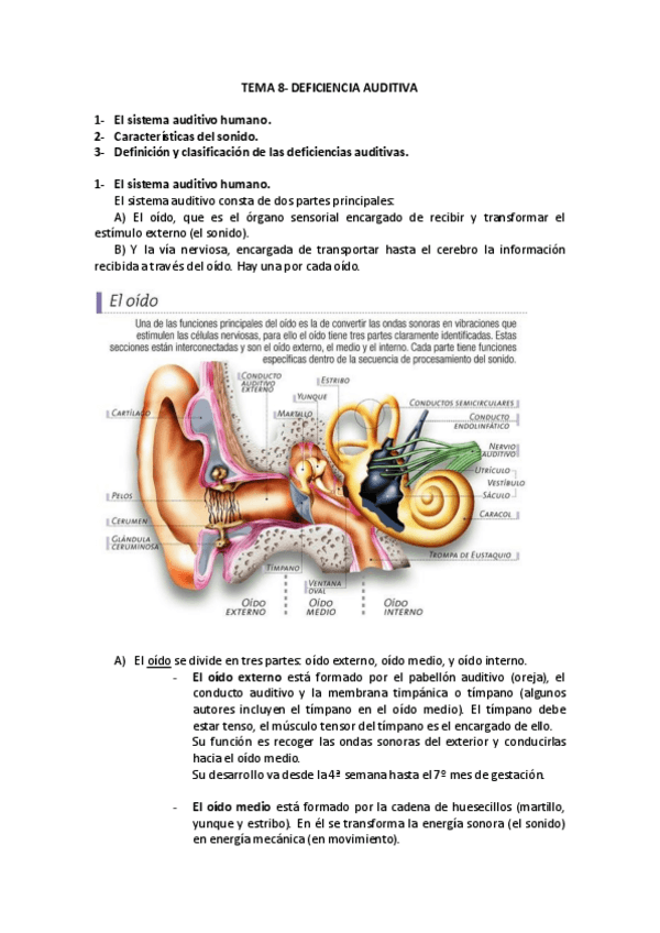 Miniatura del documento TEMA-8-DEFICIENCIA-AUDITIVA.pdf