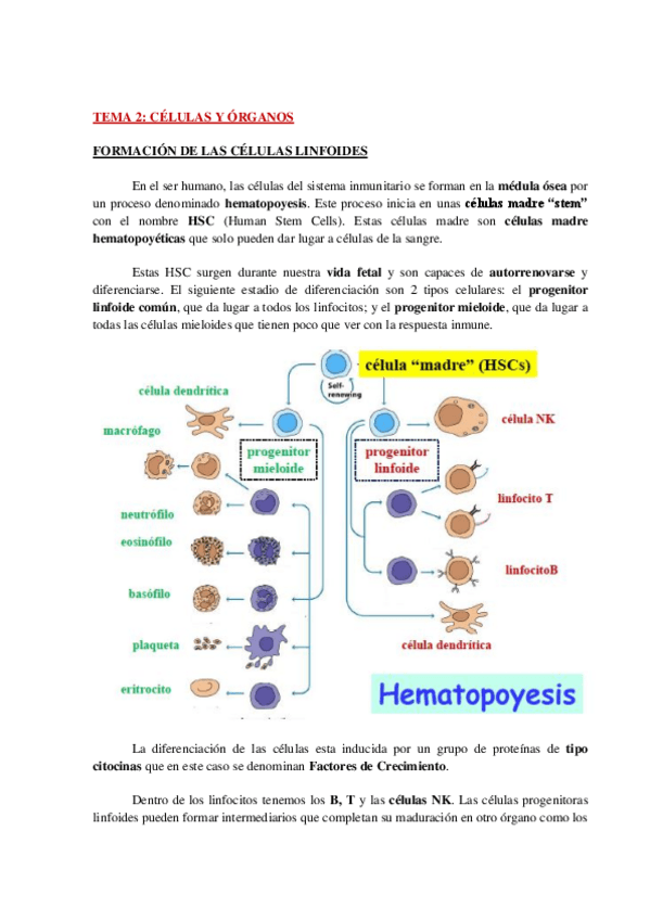 Miniatura del documento AP-INMUNO-TEMA-2-WH.pdf