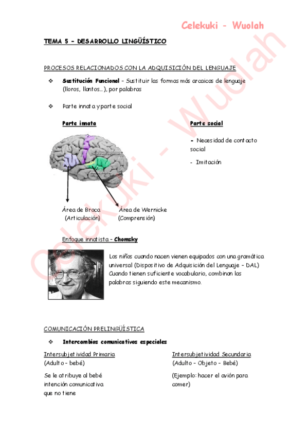 Miniatura del documento TEMA 5 - Desarrllo Lingüistico.pdf