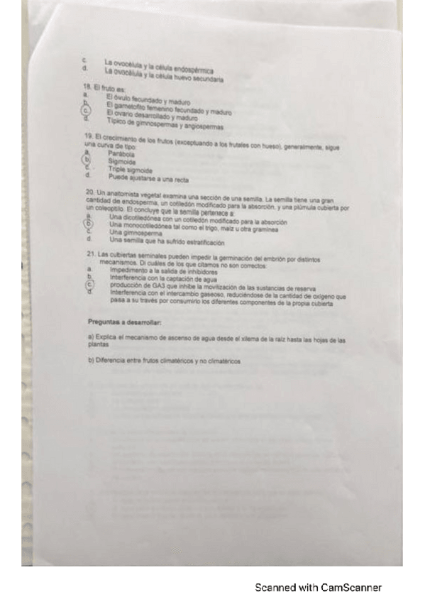 Miniatura del documento preguntas-tipo-examen-P1-Y-P2.pdf