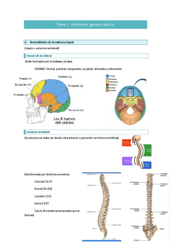 Miniatura del documento Tema-1.pdf