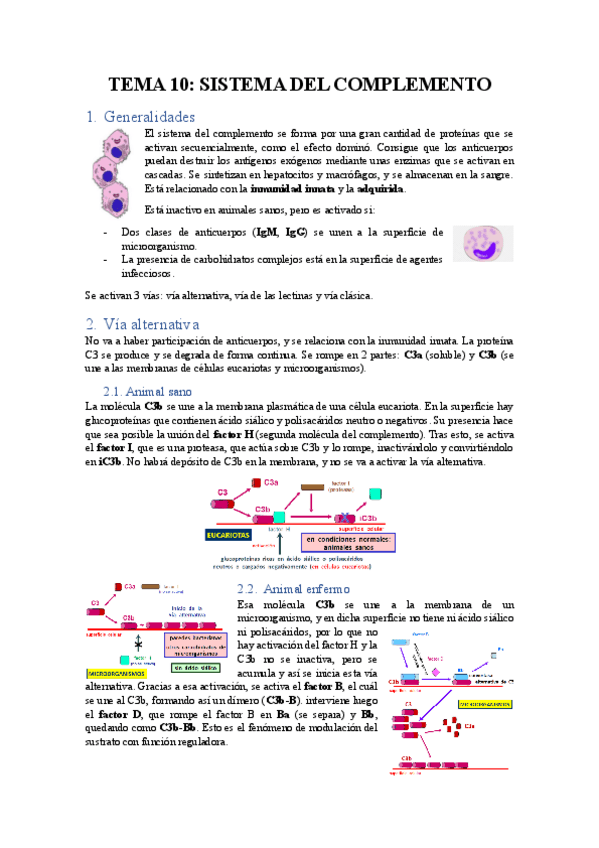 Miniatura del documento TEMA-10-SISTEMA-DEL-COMPLEMENTO.pdf