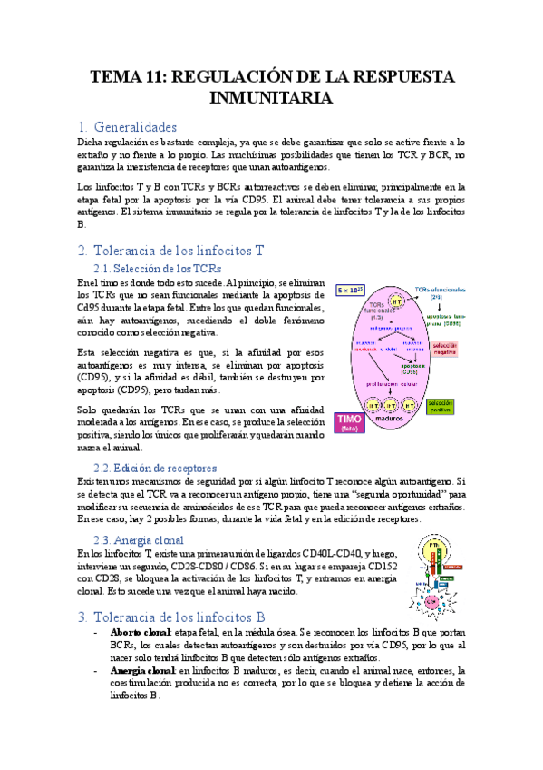 Miniatura del documento TEMA-11-REGULACION-DE-LA-RESPUESTA-INMUNITARIA.pdf