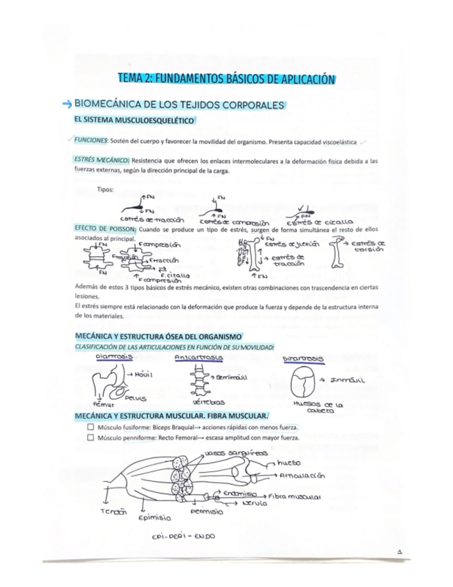 Miniatura del documento TEMA-2-FUNDAMENTOS-BASICOS-DE-APLICACION.pdf