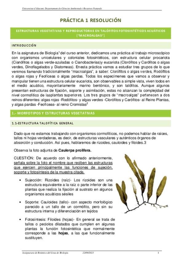 Miniatura del documento PRATICA-MACROALGAS.pdf