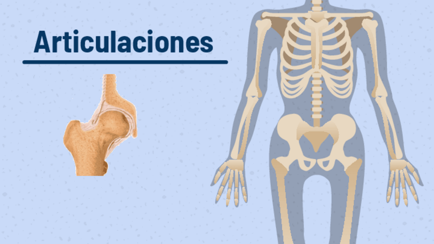 Miniatura del documento Resumen-laboratorio-Anatomia-Articulaciones.pdf