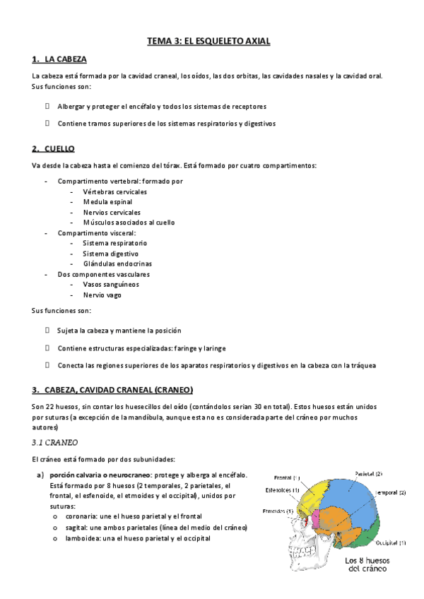 Miniatura del documento Resumen-Tema-3-anatomia-.docx.pdf