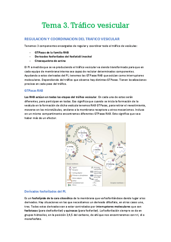 Miniatura del documento Tema-3.pdf