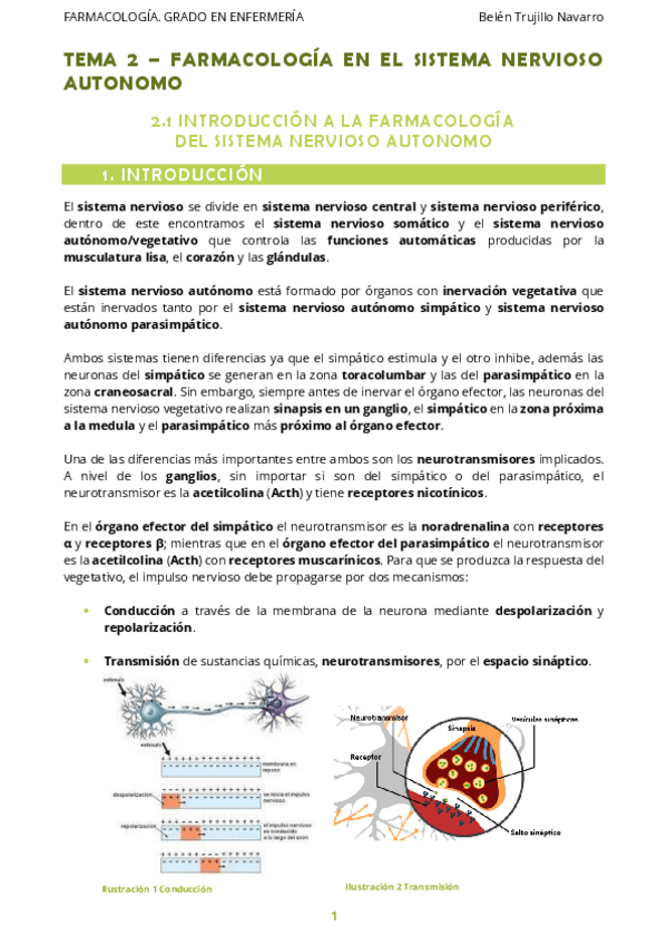 Miniatura del documento FARMA-Tema2-FarmacologiaSN-1IntroduccionSN.pdf
