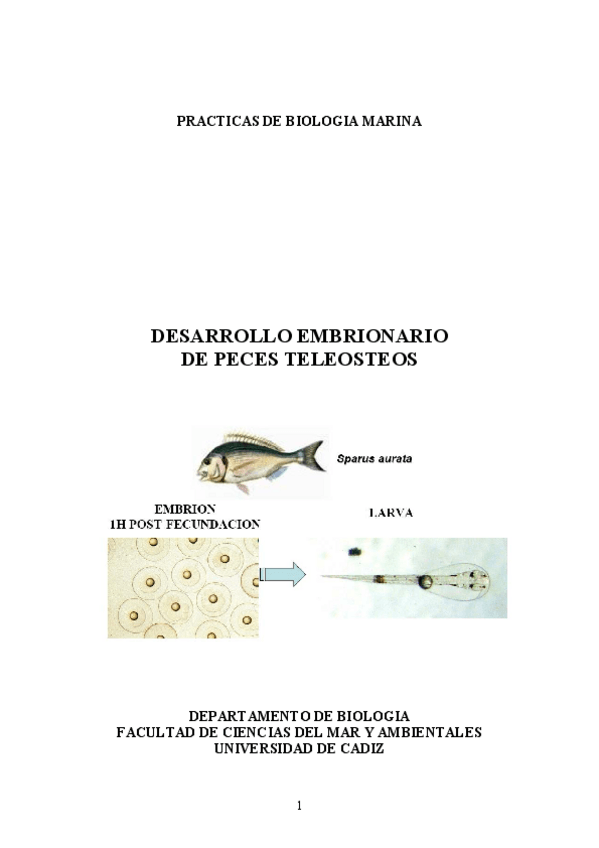 Miniatura del documento desarollo embrionario.pdf