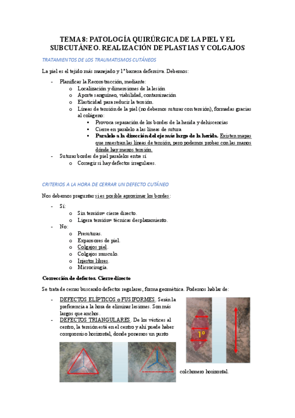 Miniatura del documento TEMA-8.pdf