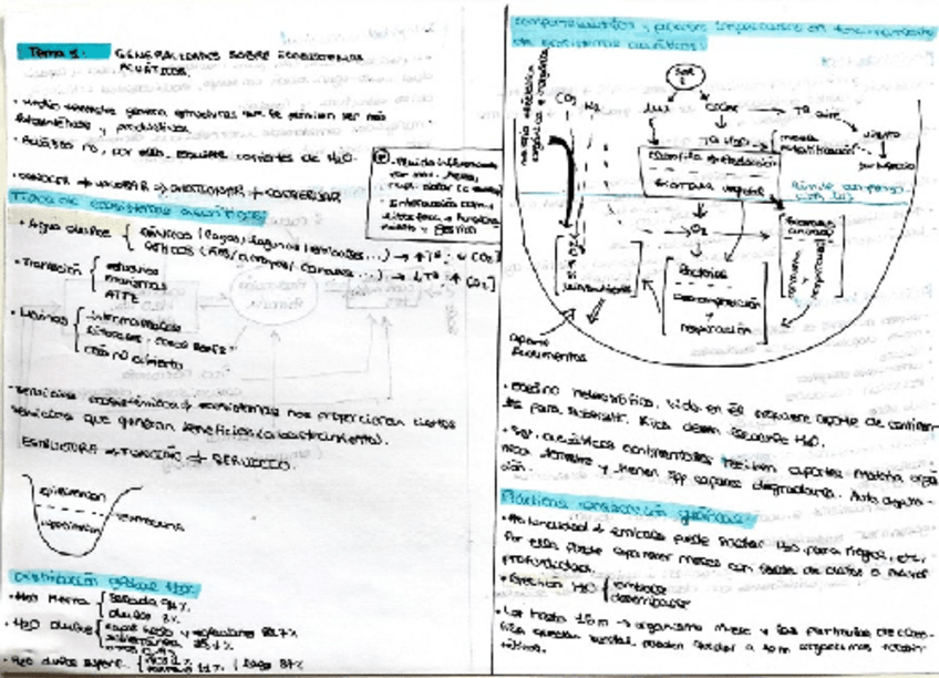 Miniatura del documento Apuntes-FYGEA.pdf