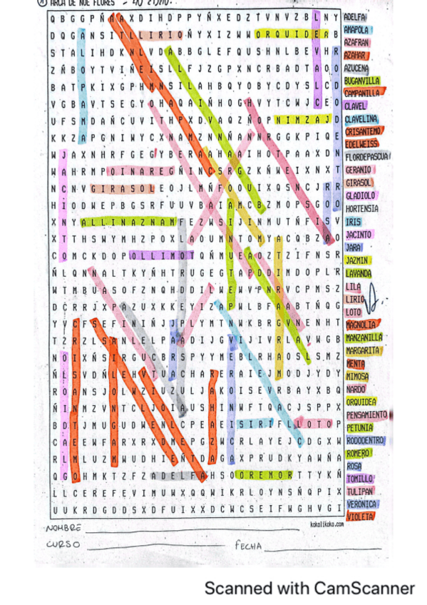 Miniatura del documento Sopa-de-letras-Arca-de-Noe-Flores.pdf