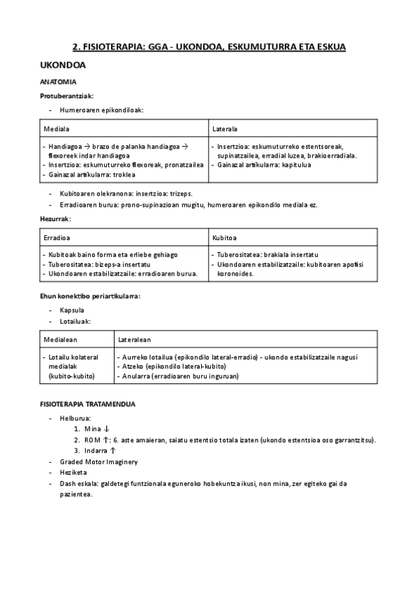 Miniatura del documento 02.-FISIOTERAPIA-GGA-UKONDOA-ESKUMUTURRA-ETA-ESKUA.pdf