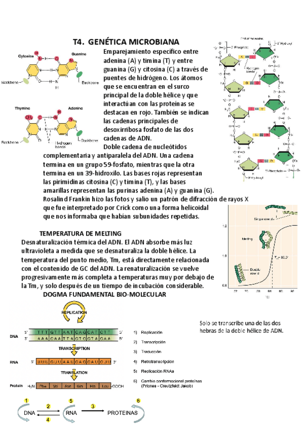 Miniatura del documento T4-MICRO.pdf
