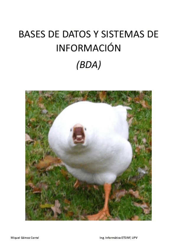 Miniatura del documento BDA-Tema-1.pdf
