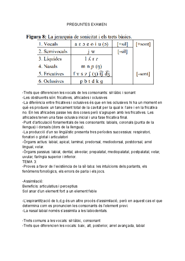 Miniatura del documento PREGUNTES-EXAMEN-1.pdf