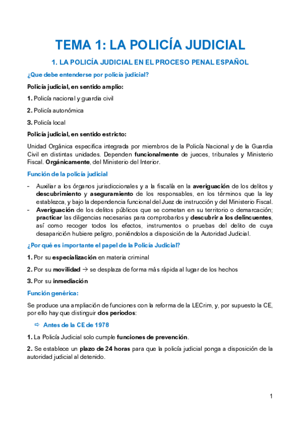 Miniatura del documento TEMA-1-PROCESO-PENAL.pdf