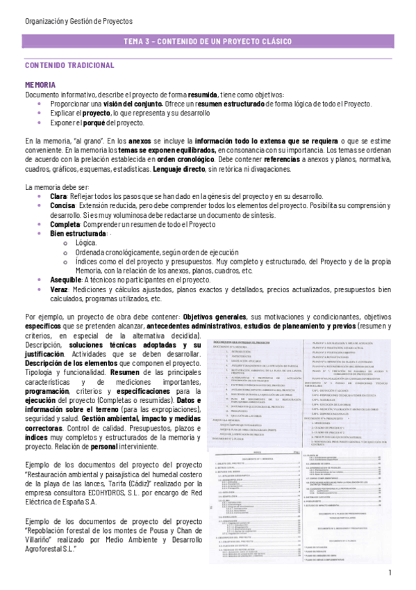 Miniatura del documento Tema-3-Proyectos.pdf