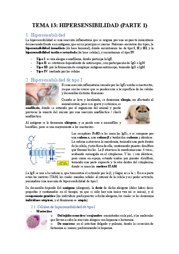 Miniatura del documento TEMA-13-HIPERSENSIBILIDAD-PARTE-1.pdf