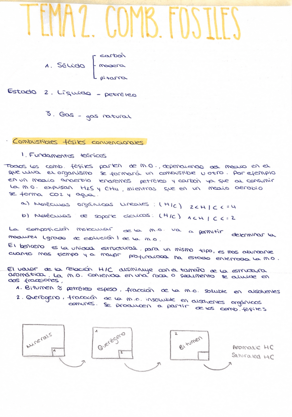 Miniatura del documento tema2apuntesypreguntas.pdf