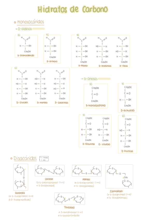 Miniatura del documento Moleculas-Que-Hay-Que-Saber.pdf