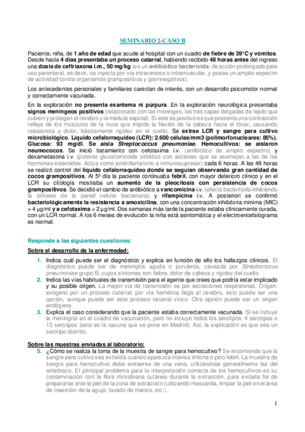 Miniatura del documento SEMINARIO-2-B.pdf