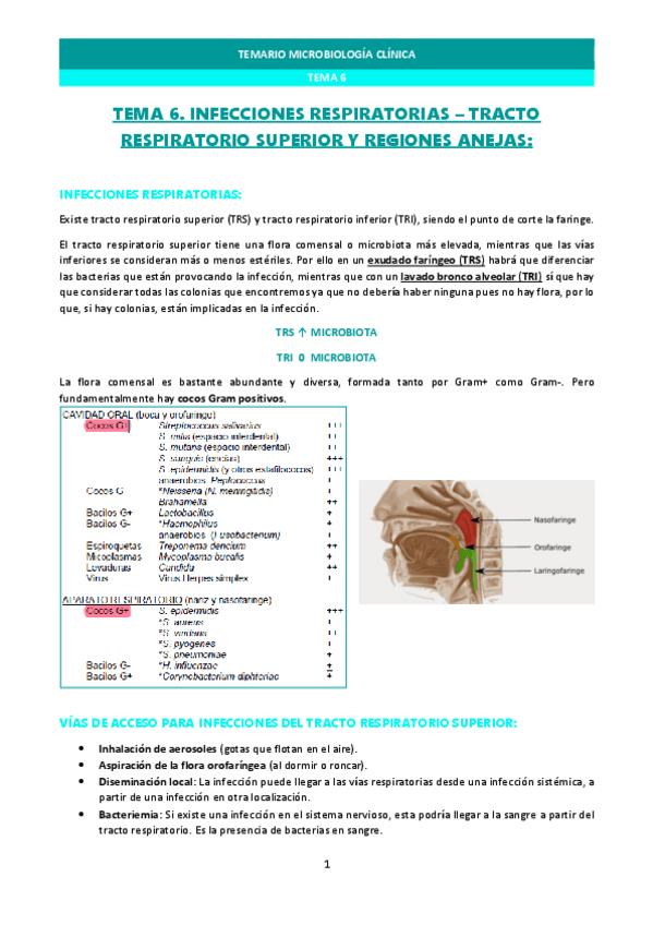 Miniatura del documento MI-TEMA-6-microbiologia.pdf