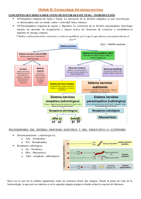 Miniatura del documento Modulo-2-Farmacologia-del-sistema-nervioso.pdf